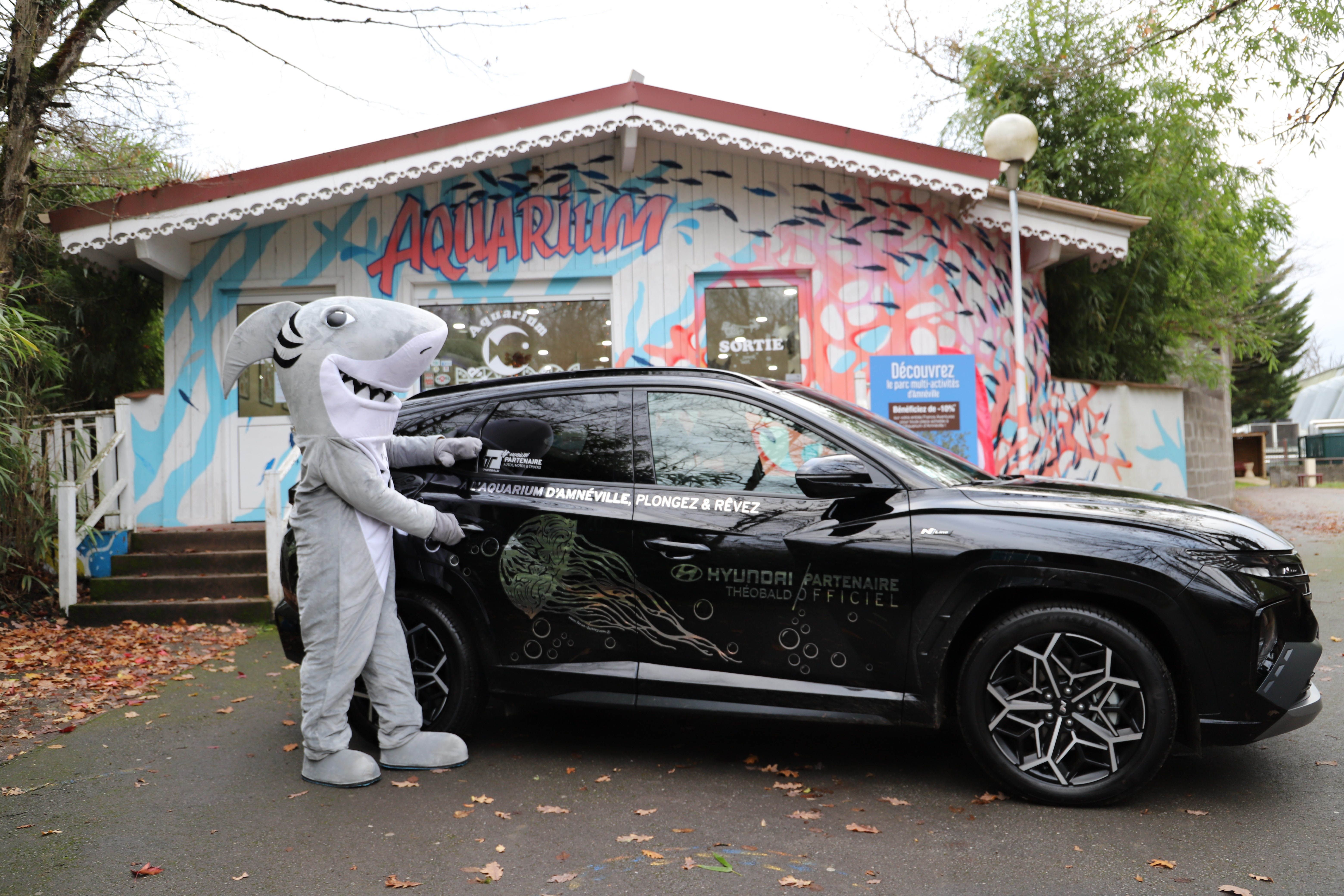 Hyundai Théobald partenaire de l'Aquarium d'Amnéville