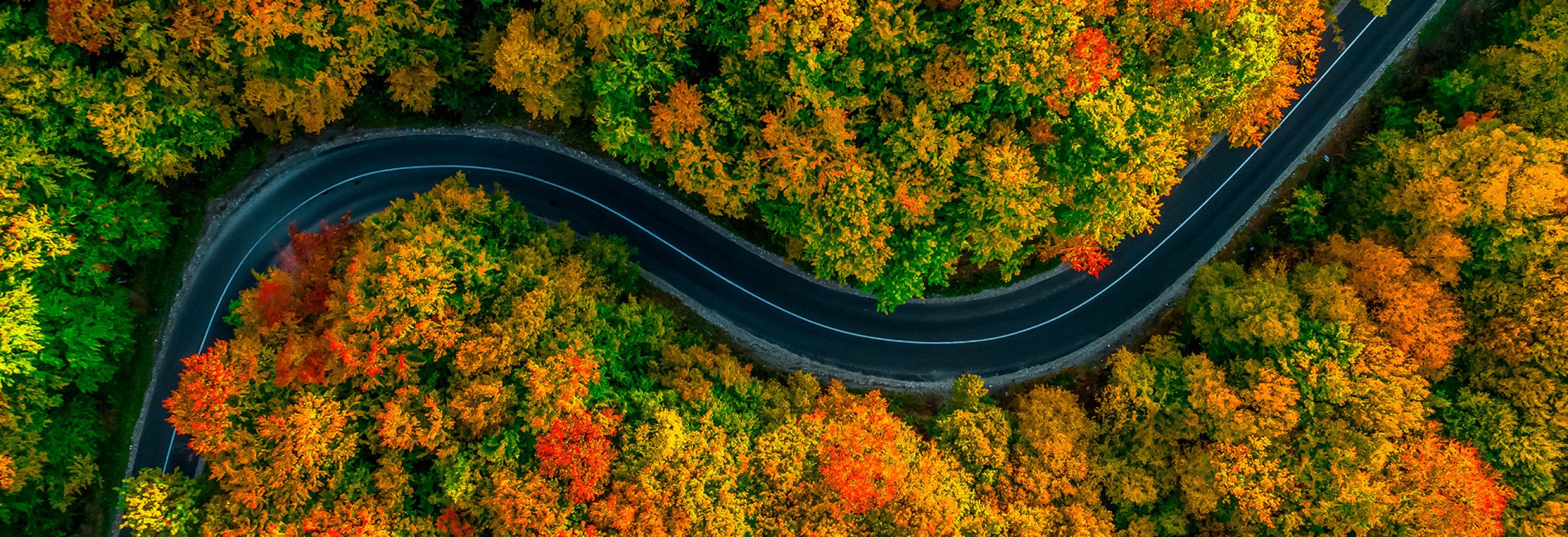 Théobald Groupe - Partenaire Mobilité 